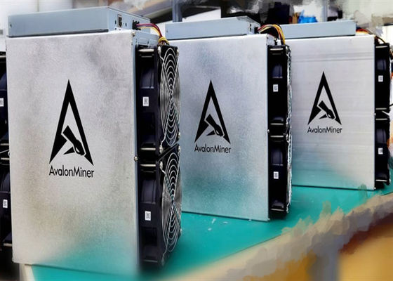 Probergmann 55TH/S Canaan Avalon 1066, 3300W verwendete BTC-Schlüsselmünzen-Bergmann